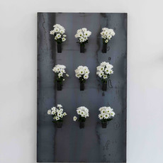 Matisse Mesnil