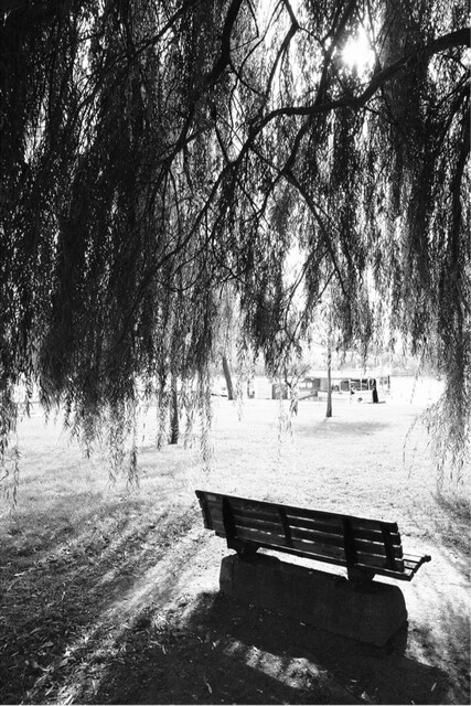 Park