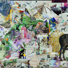 Josh Dorman