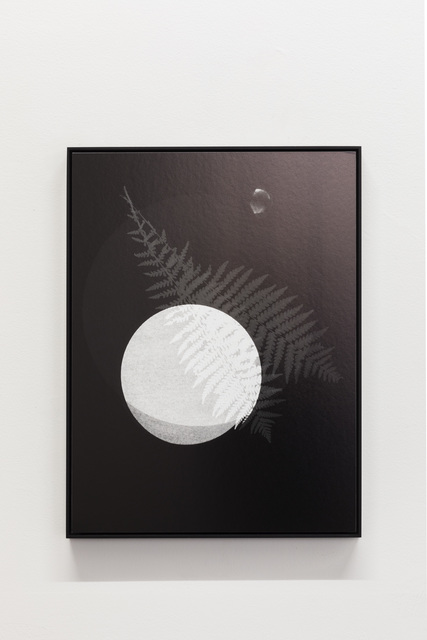 Meris Angioletti, ‘Lunaria#2’, 2018, OTTO ZOO