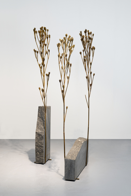 Michele Mathison, ‘Kakiebos III ’, 2019, WHATIFTHEWORLD