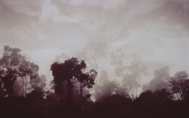 Lisa Roet, ‘The Forest 1’, 2000-2001, MARS