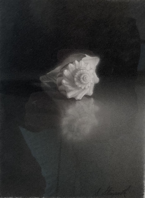 Skip Steinworth, ‘Shell’, 2004, Eckert Fine Art