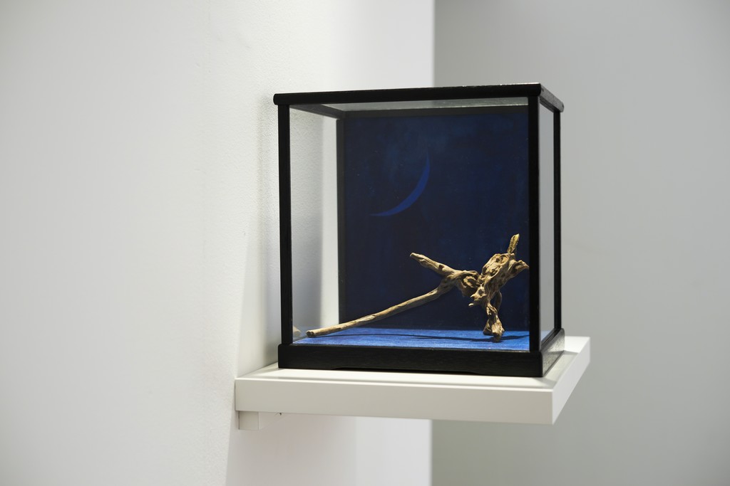 Installation view of Botanimal Garden, ARARIO GALLERY, Seoul, Korea Installation view of Botanimal Garden, ARARIO GALLERY, Seoul, Korea