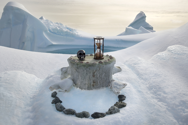 Anne De Carbuccia, ‘Antarctic & Southern Elephant Seal Skulls’, 2014, Brun Fine Art