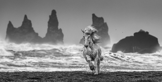 David Yarrow, ‘White horses’, 2018, Photography, Archival Pigment Print, Fineart Oslo