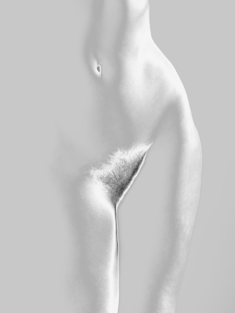 Mona Kuhn, ‘Bushes 05’, 2018, Jackson Fine Art