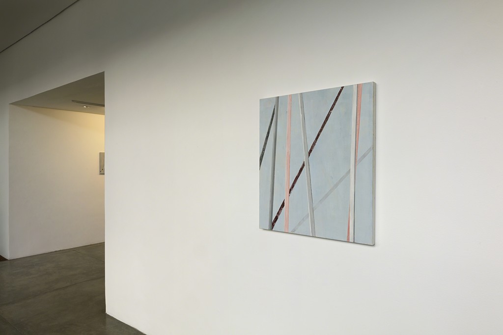 exhibition view -- photo Everton Ballardin © courtesy of the artist and Galeria Nara Roesler exhibition view -- photo Everton Ballardin © courtesy of the artist and Galeria Nara Roesler