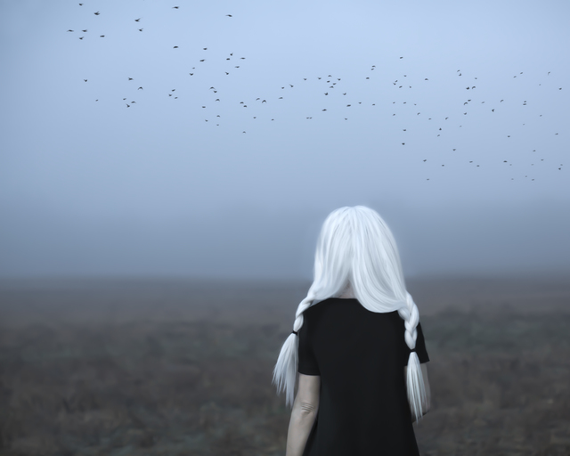 Patty Maher, ‘First it Whispers’, 2016, Abbozzo Gallery