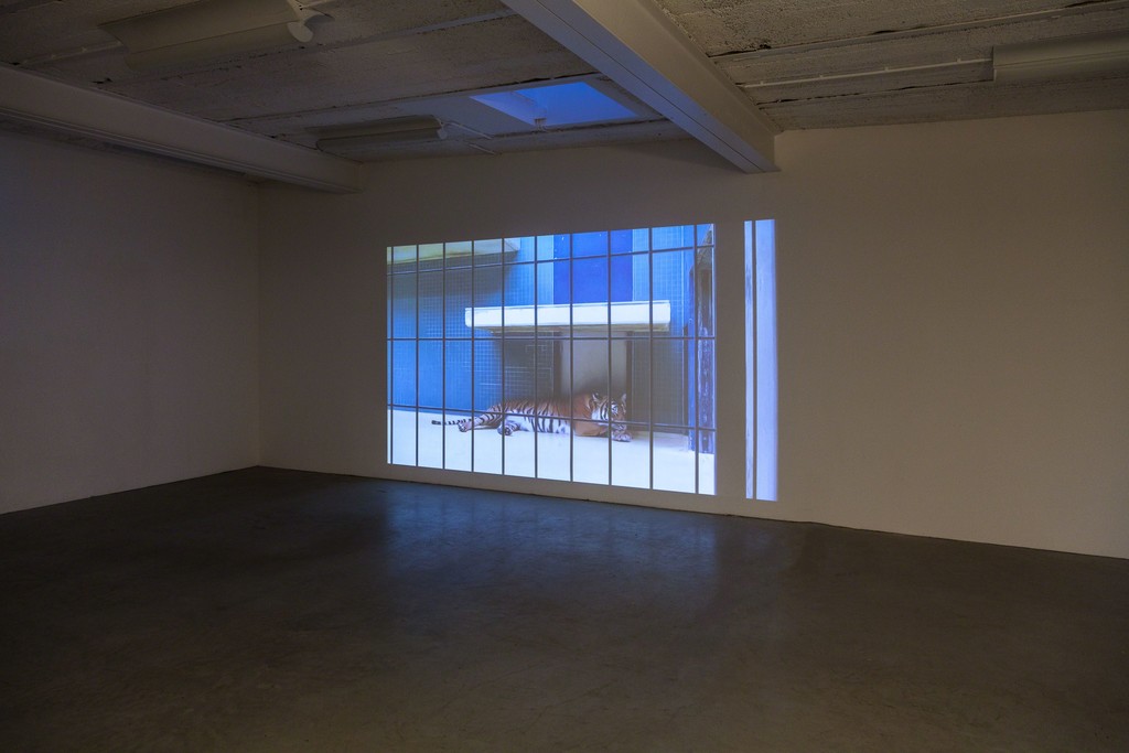 Marianne Eigenheer, "wilderness architecture", video, 2012 | image: ©dasesszimmer Marianne Eigenheer, "wilderness architecture", video, 2012 | image: ©dasesszimmer