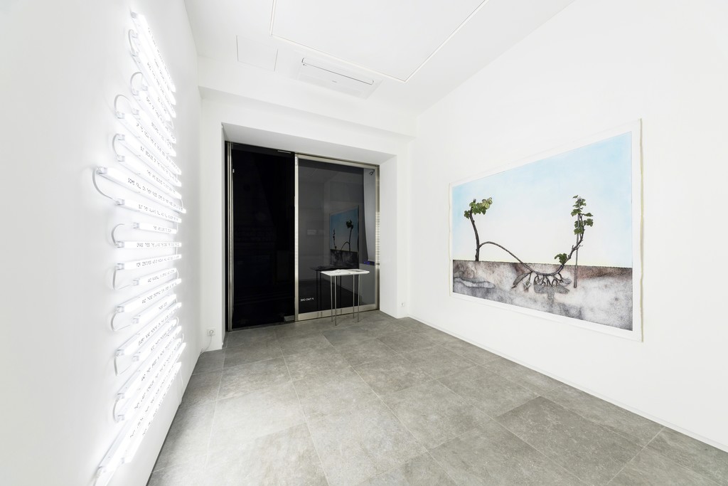 Installation view: Fahrettin Örenli, Nature of Me, P21 (28 February–31 March 2018). Courtesy P21. Installation view: Fahrettin Örenli, Nature of Me, P21 (28 February–31 March 2018). Courtesy P21.