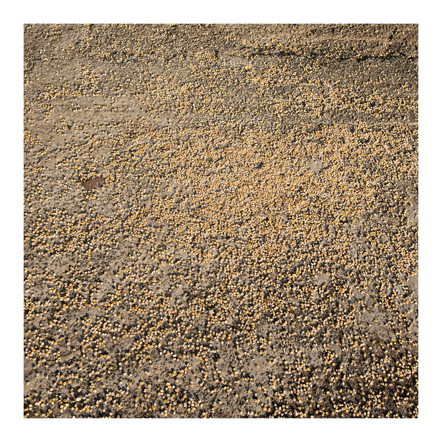 Jabulani Dhlamini, ‘Etsheni’, 2006, Goodman Gallery