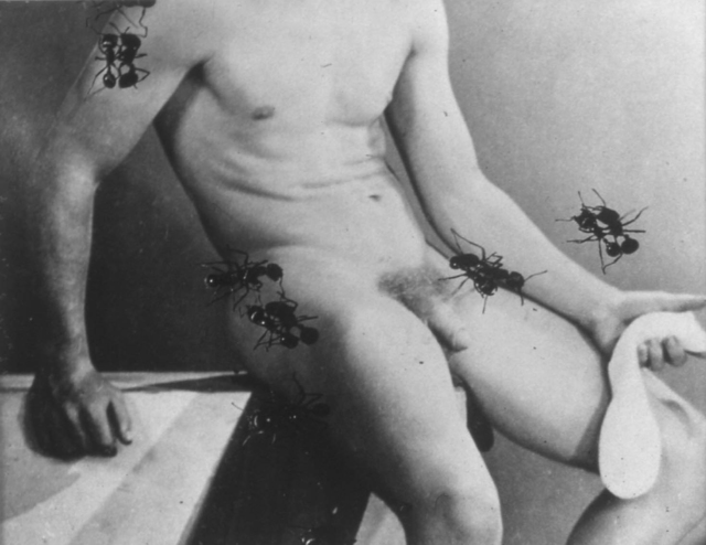 David Wojnarowicz, ‘Untitled from the Ant Series (desire)’, 1988-1989, P.P.O.W