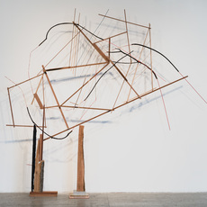 Adriane Colburn