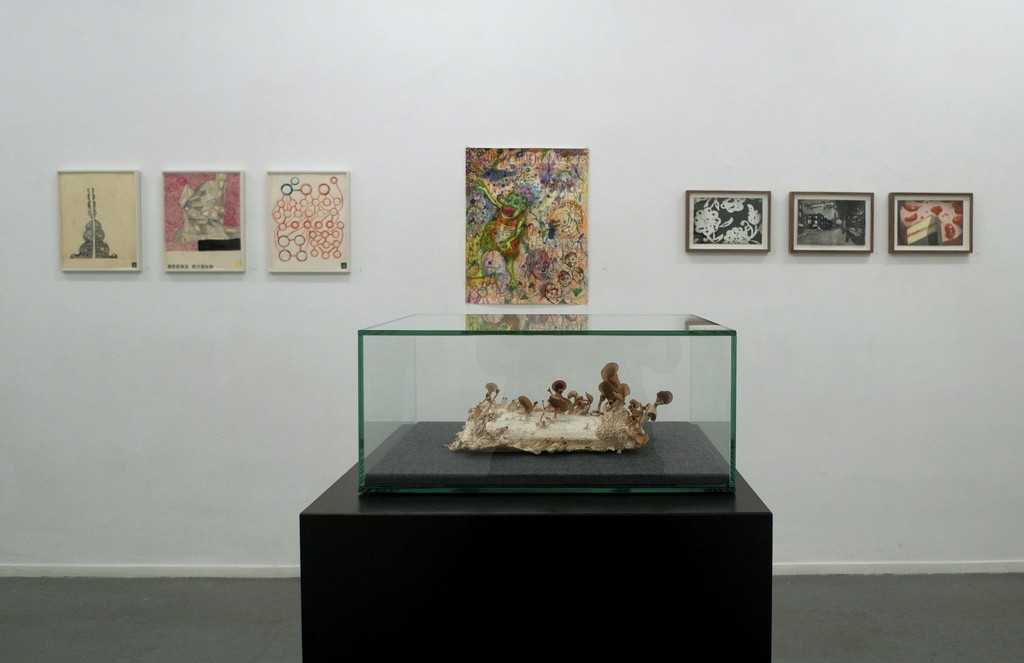 Left to right: three St. Paul series works on paper by Martin Assig, Sebastiaan Schlicher's drawing Chronic Hysteresis, two drawings and one watercolour by Marcel van Eeden. On the pedestal Zeger Reyers' book prepared with oyster mushrooms. Left to right: three St. Paul series works on paper by Martin Assig, Sebastiaan Schlicher's drawing Chronic Hysteresis, two drawings and one watercolour by Marcel van Eeden. On the pedestal Zeger Reyers' book prepared with oyster mushrooms.