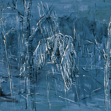Rao  Songqing