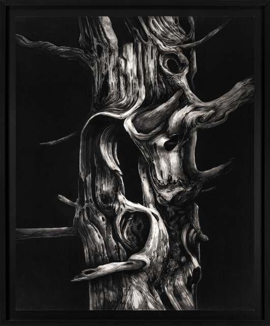 Umbra Mortis