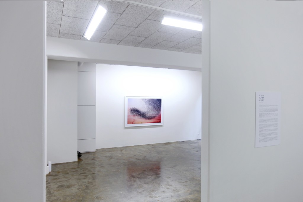 Alain Delorme exhibition October / November 2015 Alain Delorme exhibition October / November 2015