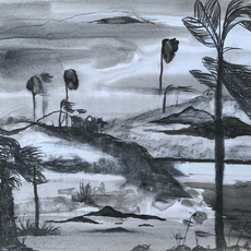 La Vaughn Belle The Land of Dissenting Boundaries