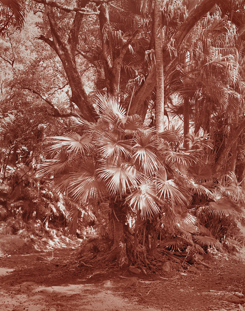 Yojiro Imasaka, ‘Trade Winds 05’, 2018, Photography, Toned gelatin silver, MIYAKO YOSHINAGA