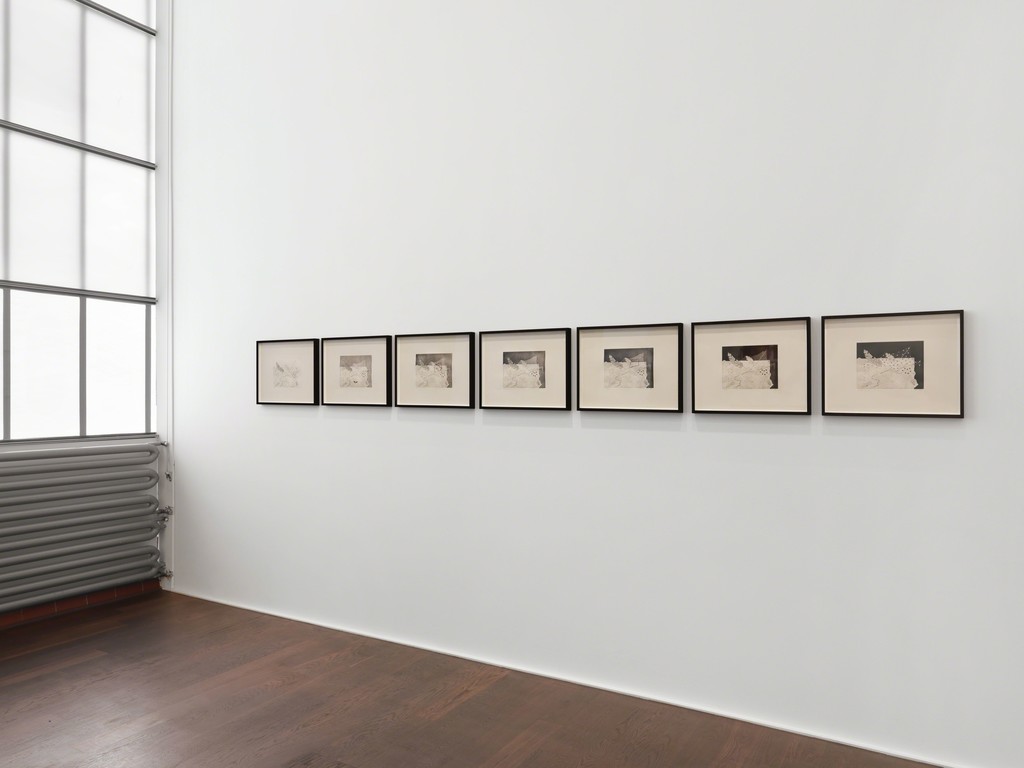 Installation view, ‘Anj Smith. If Not, Winter’, Hauser & Wirth Zürich, 2018 © Anj Smith Courtesy the artist and Hauser & Wirth Installation view, ‘Anj Smith. If Not, Winter’, Hauser & Wirth Zürich, 2018 © Anj Smith Courtesy the artist and Hauser & Wirth