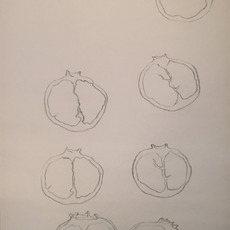 Eli Farahmand