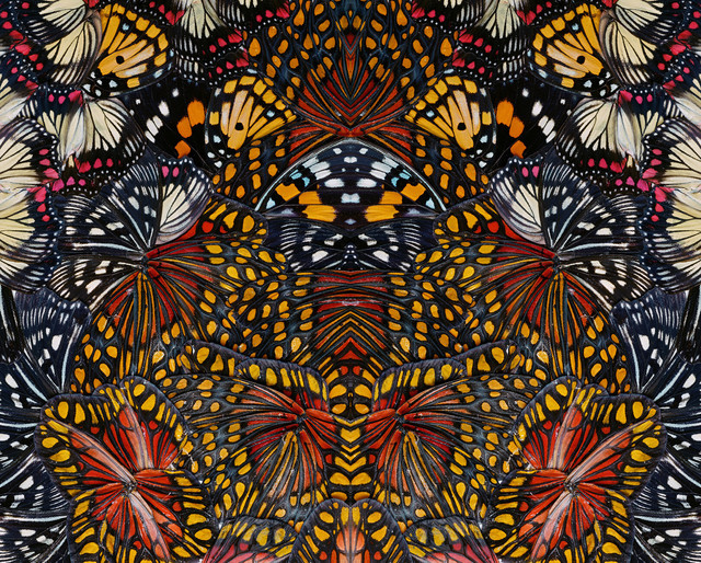 Nathalia Edenmont Freak (2020) Available for Sale Artsy