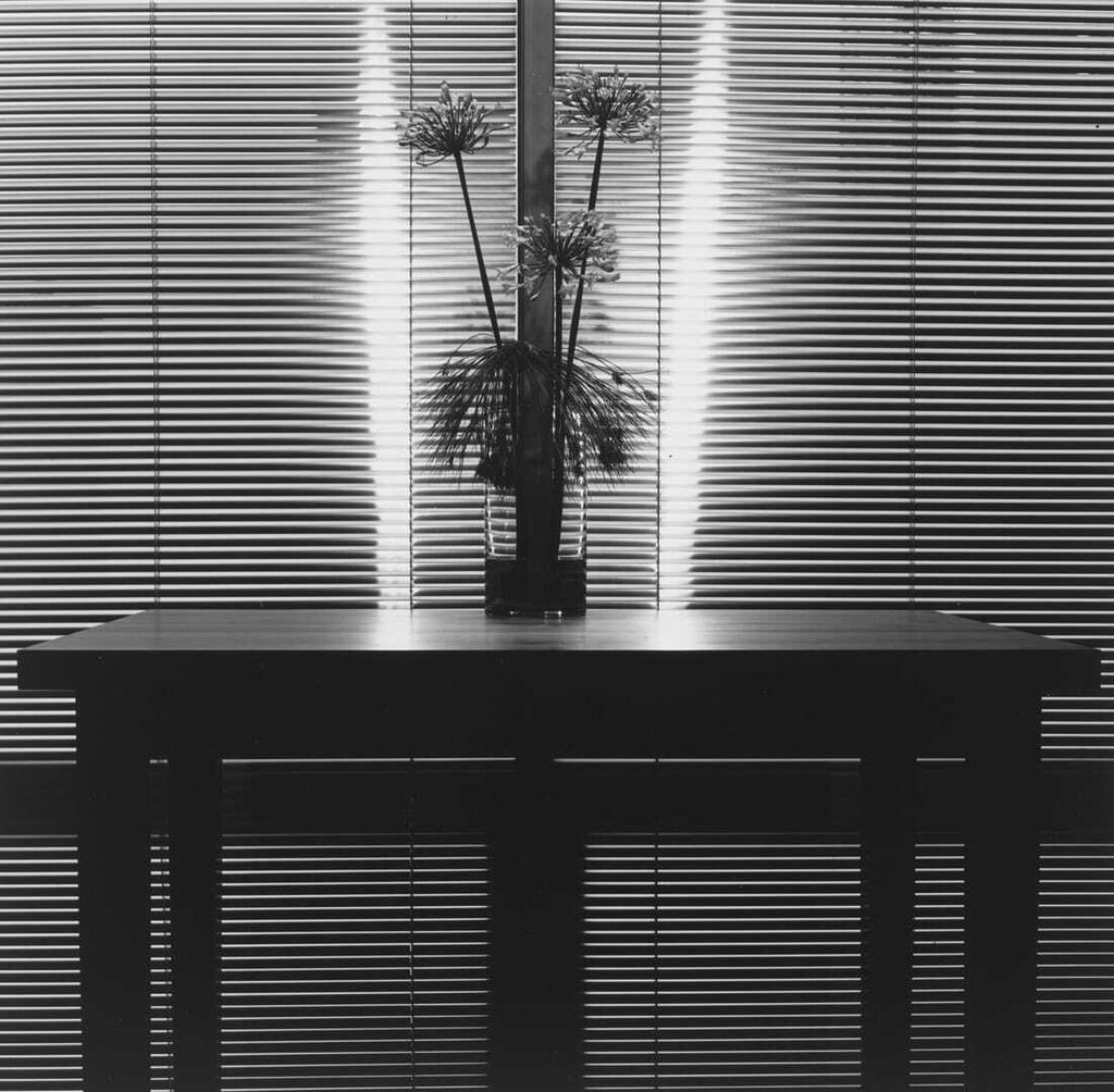 Robert Mapplethorpe - Flowers, 1980