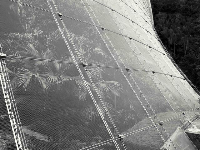 Peter Steinhauer, ‘Atrium of the Birds, Hong Kong - 2008’, 2008, Contemporary by Angela Li