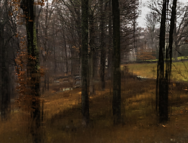 Richard Barnes, ‘Winter View, Glass House’, 2014, Photography, Archival inkjet print mounted to archival substrate, framed in black with UltraVue70, Bau-Xi Gallery