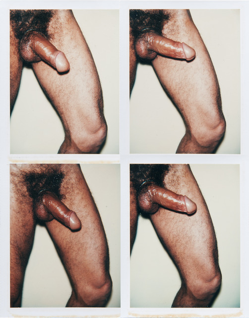 Andy Warhol, ‘Andy Warhol, Group of Four Polaroid Photographs from the 'Sex Parts and Torsos' Series, 1977’, 1977, Hedges Projects