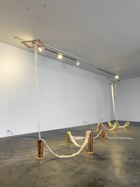 Merging Fields, Splitting Ends (Sequence III) — Gülşah Mursaloğlu (2021)