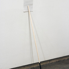 Ana Bidart