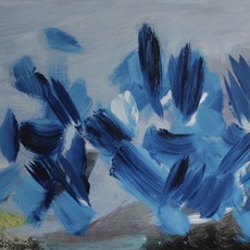 Lisa Carter-Grist.