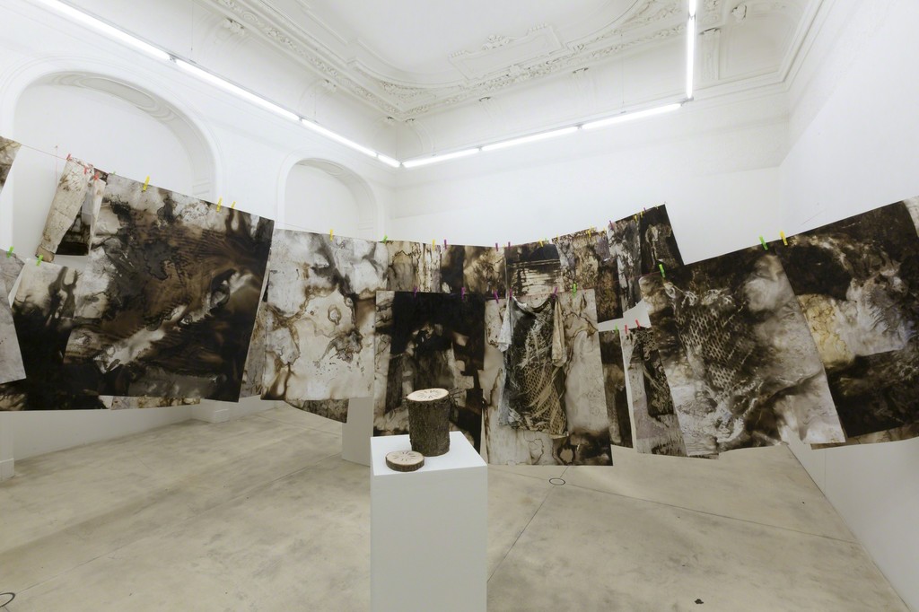 courtesy Galerie Krinzinger / photo Tamara Rametsteiner courtesy Galerie Krinzinger / photo Tamara Rametsteiner