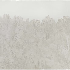 Fu Xiaotong付小桐