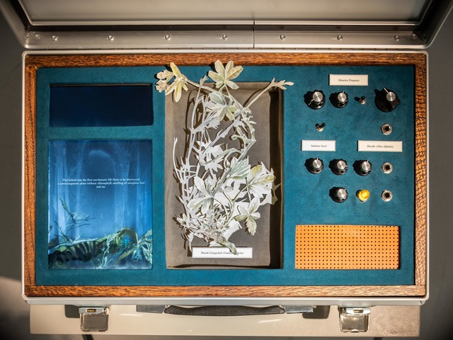 Johannes Heldén, ‘Meditation (Marsh Cinquefoil)’, 2019, Mixed Media, Suitcase in aluminium, future suede, animation, analogue synthesizer, watercolour collage, Cecilia Hillström Gallery