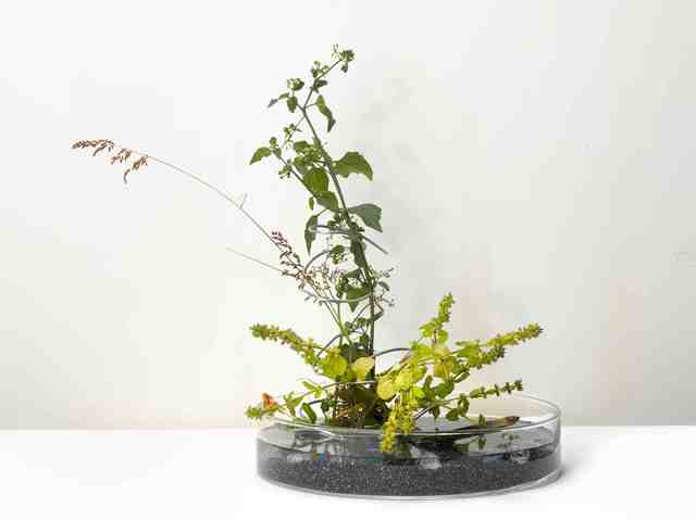 Yahui Wang, ‘A work for a building plot: Make a flower arrangement for me ’, 2011, TKG+