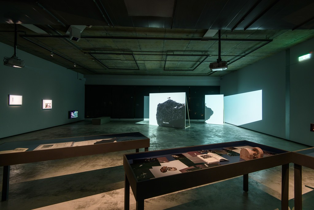 Photo Credit: Anpis Wang Photo Credit: Anpis Wang