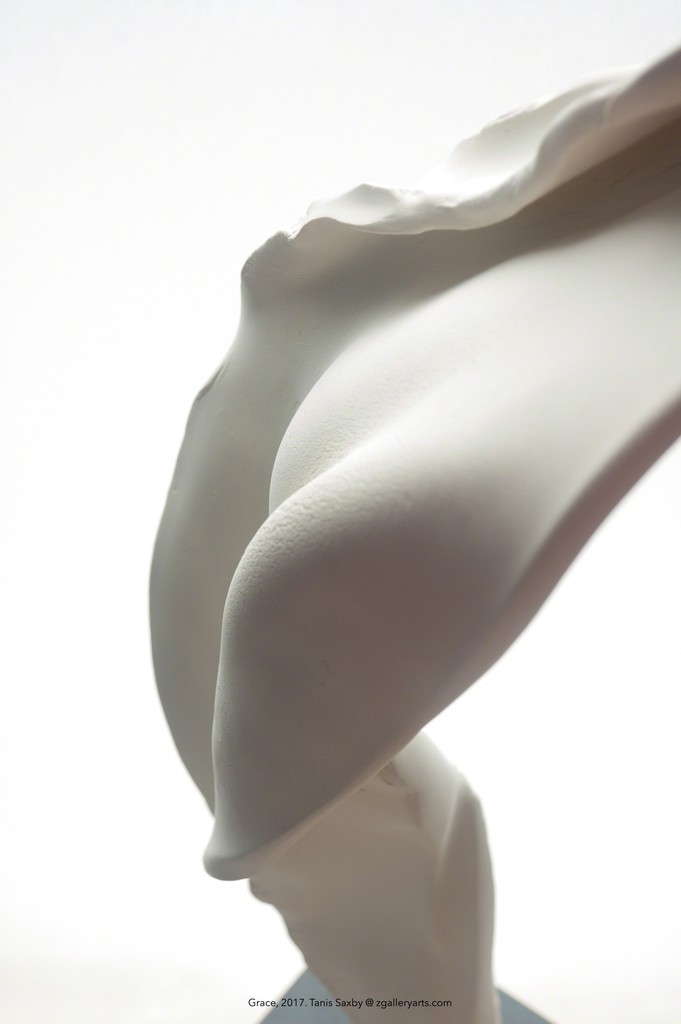 Intimacy carries both relational and erotic associations. It’s an example of the way Tanis creates abstract forms which suggest a human experience of intimacy. The observer becomes a participant in the quest to experience an equal, open and honest coupling. And in this experience, the light and space between the two forms become as important as the form itself.
Intimacy carries both relational and erotic associations. It’s an example of the way Tanis creates abstract forms which suggest a human experience of intimacy. The observer becomes a participant in the quest to experience an equal, open and honest coupling. And in this experience, the light and space between the two forms become as important as the form itself.