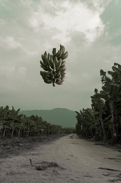 Gonzalo Fuenmayor, ‘Levitation - Papare Series’, 2013-2020, Dot Fiftyone Gallery
