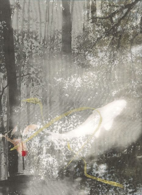 Chaco Terada, ‘Garden Without Spacetime F2’, 2017, photo-eye Gallery
