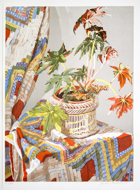 Sondra Freckelton, ‘Begonia with Qulit’, 1978, Brooke Alexander, Inc.