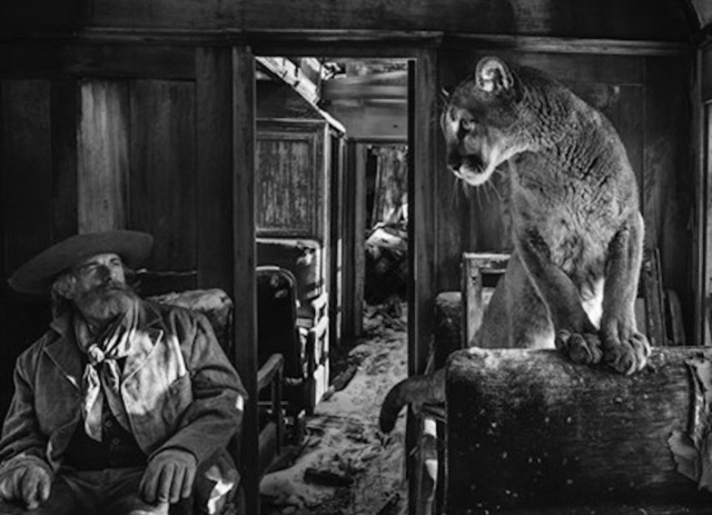 David Yarrow, ‘Economy’, 2017, Isabella Garrucho Fine Art