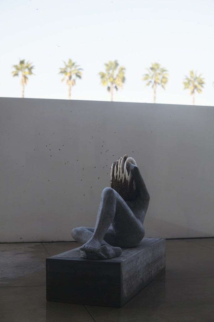 Pierre Huyghe at LACMA, 2015, Photo by Ola Rindal Pierre Huyghe at LACMA, 2015, Photo by Ola Rindal