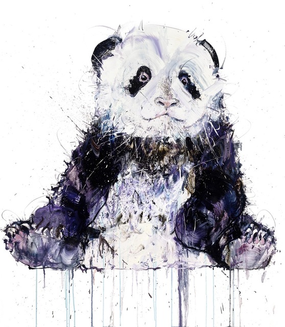 Dave White, ‘Young Panda II’, 2018, The Drang Gallery