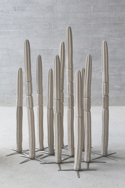 Silvana Pestana, ‘Huachuma III’, 2017, Ginsberg Galería