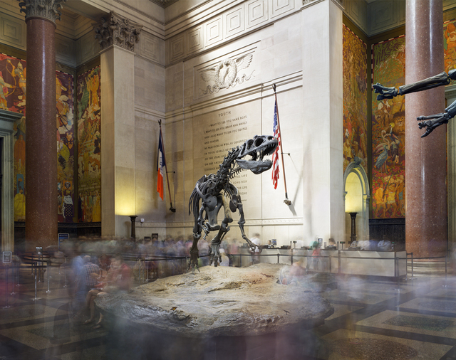 Matthew Pillsbury, ‘Dinosaur, American Museum of Natural History’, 2015, Benrubi Gallery