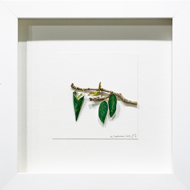 Nayan and Vaishali, ‘Tailor bird with nest’, 2019-2020, Drawing, Collage or other Work on Paper, Paper and watercolour, Paradigm Gallery + Studio