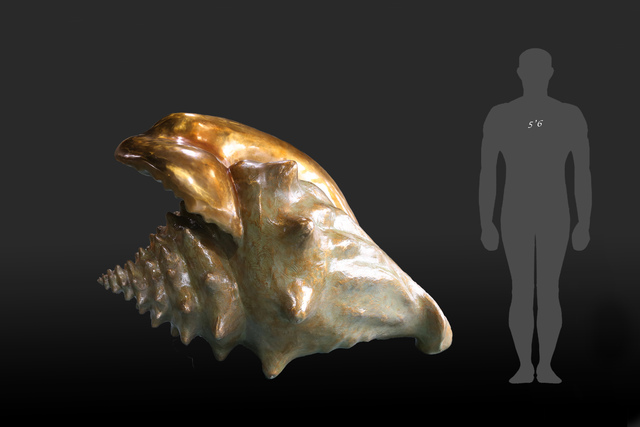 Geoffrey C. Smith, ‘Queen Conch Shell’, Geoffrey C. Smith Galleries